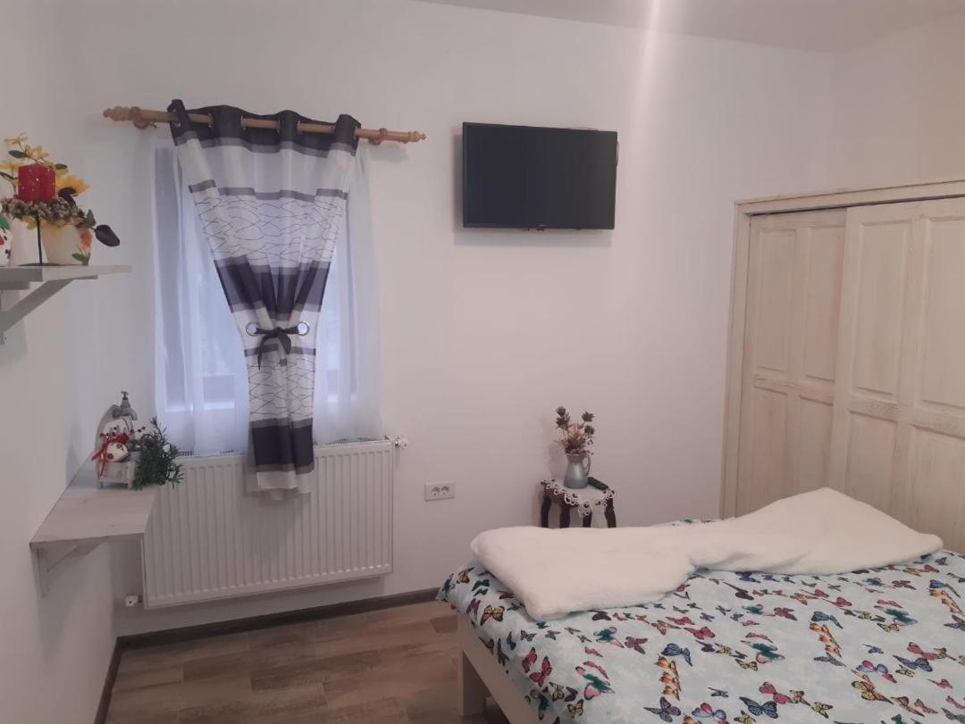 Pensiunea Dodo Patarlagele Buitenkant foto