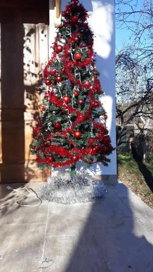 Pensiunea Dodo Patarlagele Buitenkant foto