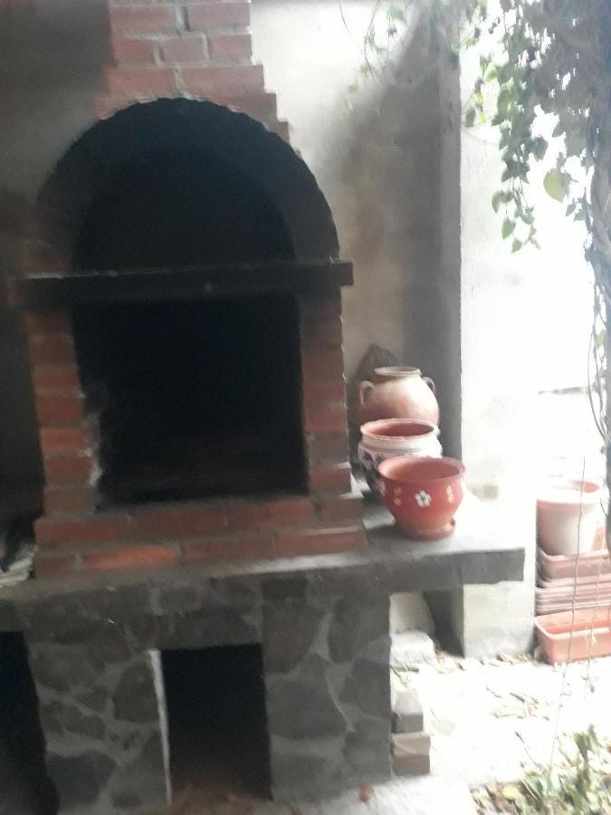 Pensiunea Dodo Patarlagele Buitenkant foto