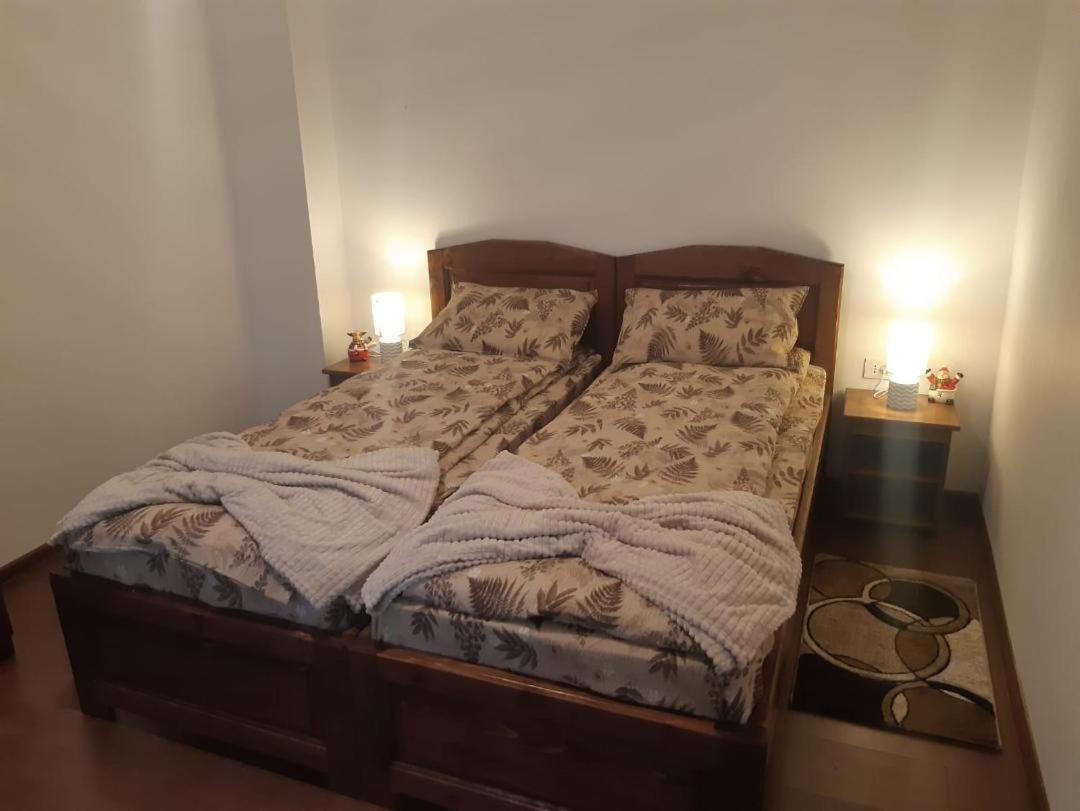 Pensiunea Dodo Patarlagele Buitenkant foto