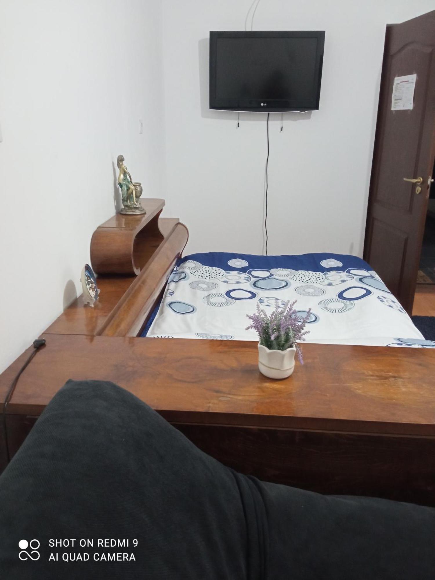 Pensiunea Dodo Patarlagele Kamer foto